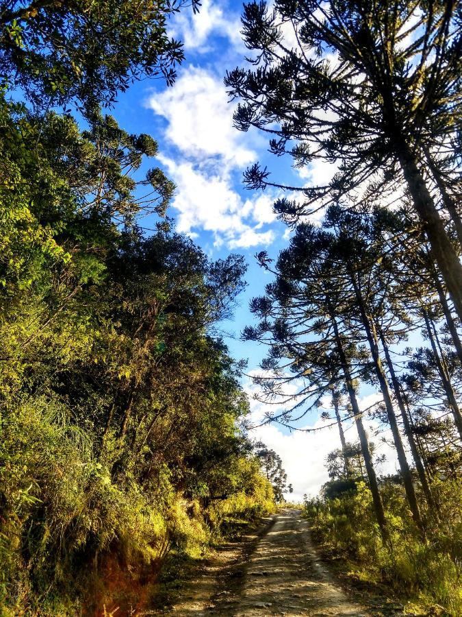 Refugio Das Araucarias Urubici Bagian luar foto