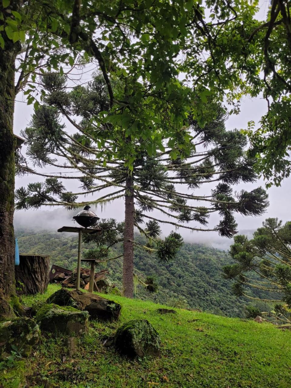 Refugio Das Araucarias Urubici Bagian luar foto